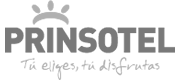 Prinsotel